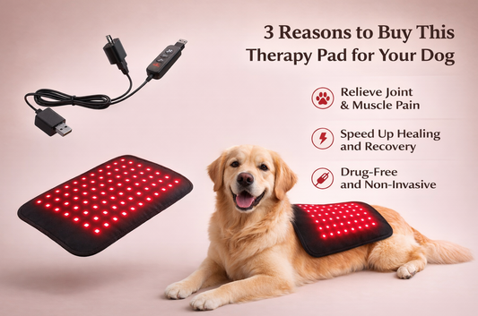 Infrared Light Therapy Pad